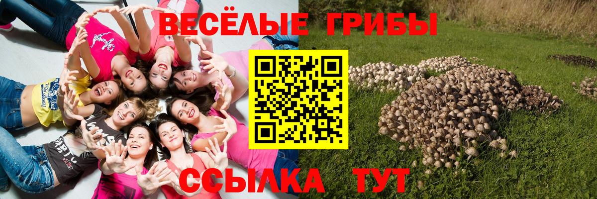 Псилоцибиновые грибы Magic Shrooms Усинск