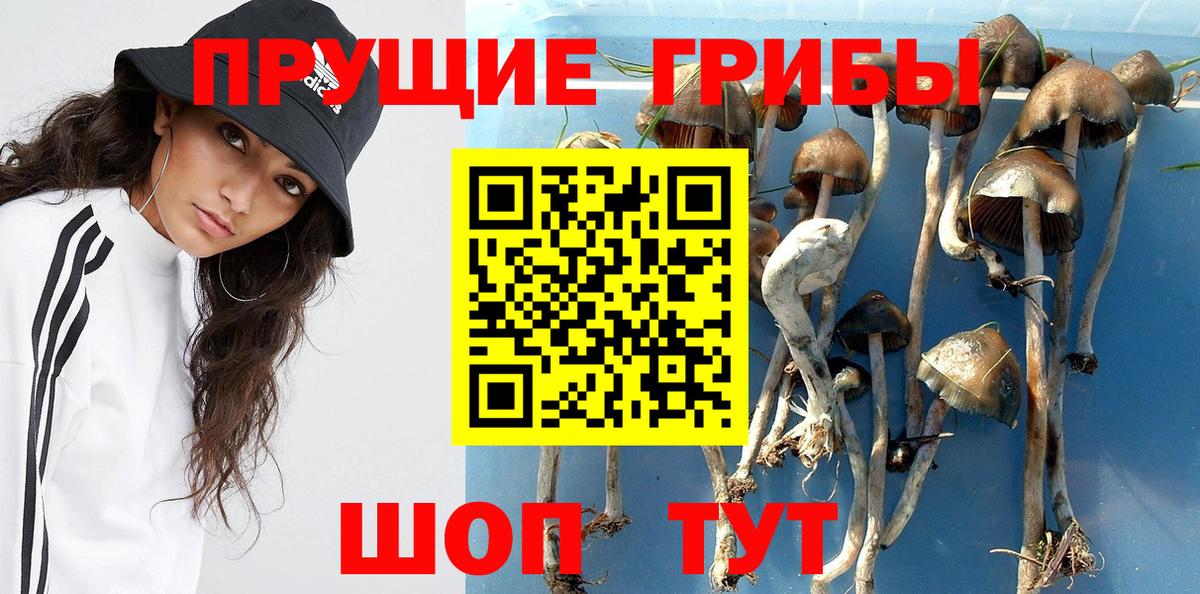 Галлюциногенные грибы Magic Shrooms  Псилоцибиновые грибы Magic Shrooms  Вход с VPN  Усинск 