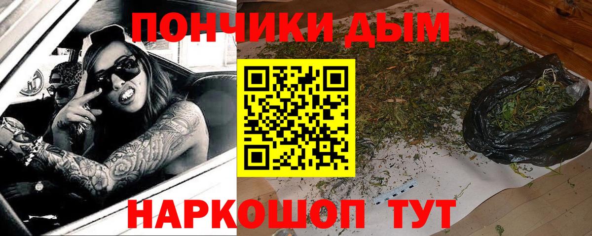Каннабис сатива Усинск